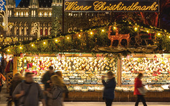 Vienna Christmas market