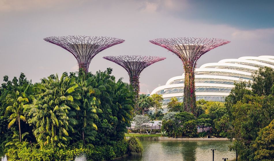 Gardens by the Bay, Singapore