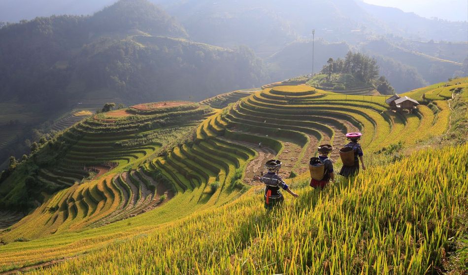 North & Central Vietnam: Hanoi, Hoi An & Countryside Adventures