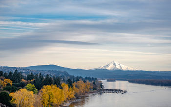 Autumn view of the Columbia River in Oregon, with Mount Hood in the background