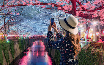 Young tourists admire the beauty of cherry blossom trees in Tokyo at the Meguro River, Japan.