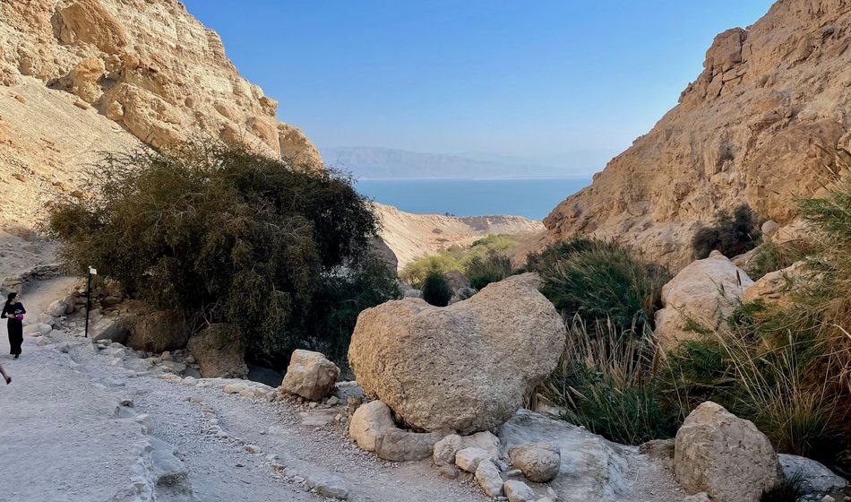 Ein Gedi Nature Reserve