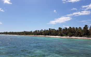 Bavaro coast Dominican Republic