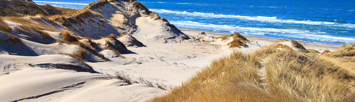 Dunes at the northern sea near Skagen, Denmark