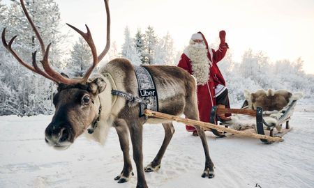 Uber Sleigh, Santa, reindeer, sleigh, Lapland, Finland, Rovaniemi, Apukka Resort