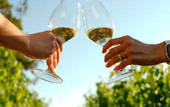 A toast in Valle Guadalupe, Baja California