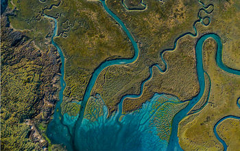 Los Humedales wetlands in San Quintin, Baja California.