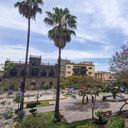 plaza in Guadalajara, flowers, church