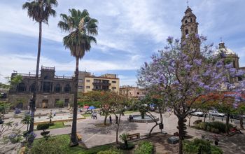 plaza in Guadalajara, flowers, church