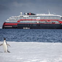 MS Roald Amundsen, Antarctica, expedition cruises, Hurtigruten, penguins