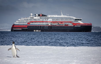 MS Roald Amundsen, Antarctica, expedition cruises, Hurtigruten, penguins