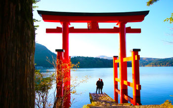 Torii Shrine in Japan