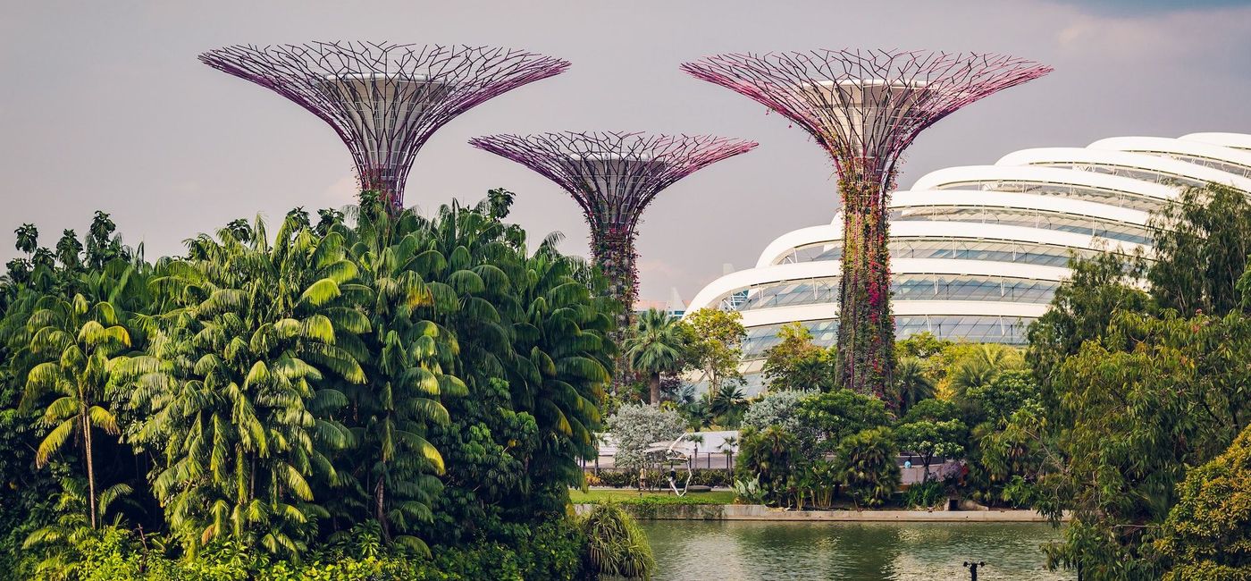 Image: Gardens by the Bay, Singapore. (photo via Unsplash/Daniel Welsh)