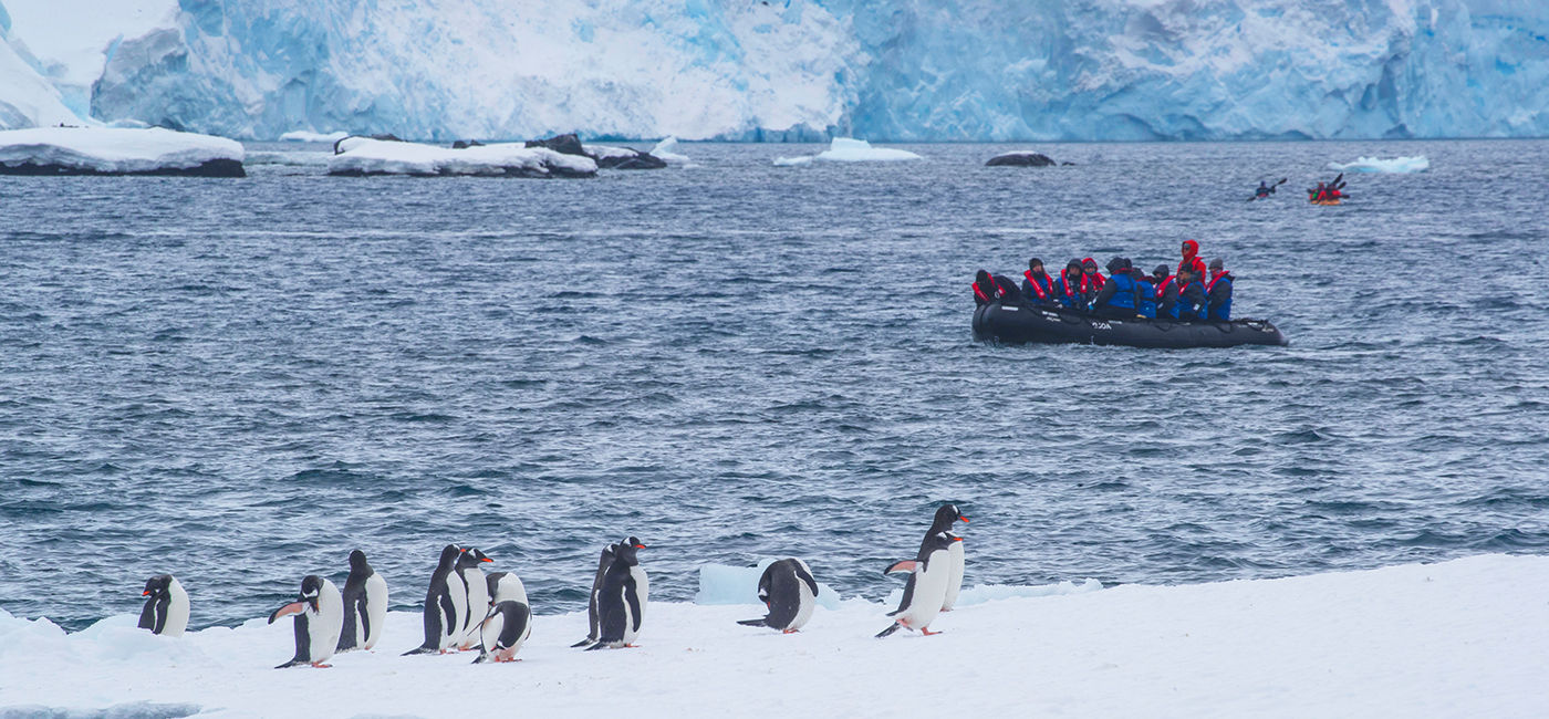 Image: Guests view Gentoo penguins from a zodiac. (Photo Credit: Scott Portelli/Aurora Expeditions)