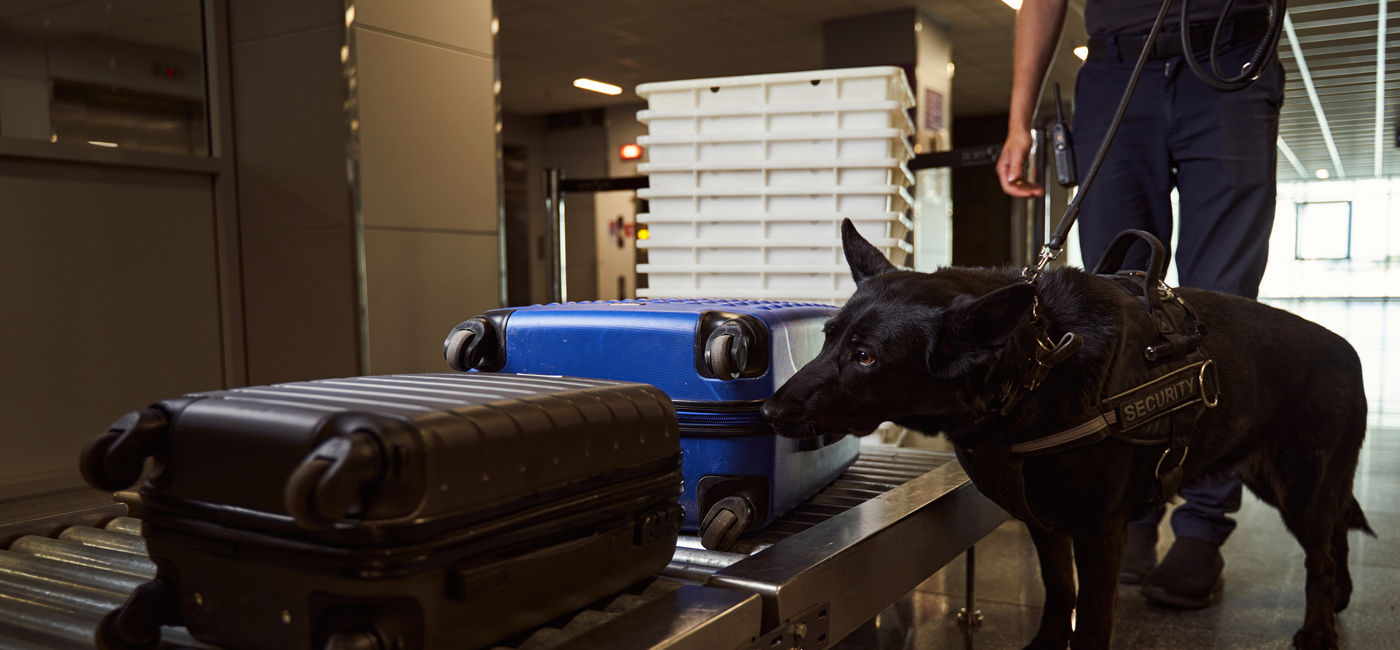 Image: Security worker and dog conducting bag search at airport. (Photo Credit: Svitlana/Adobe)