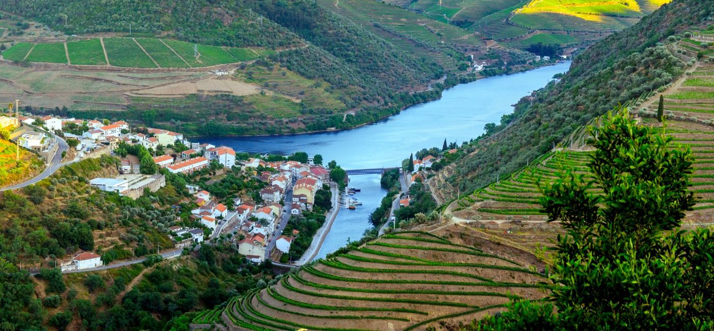 Image: The Douro Valley in Portugal. (Photo Credit: AmaWaterways)