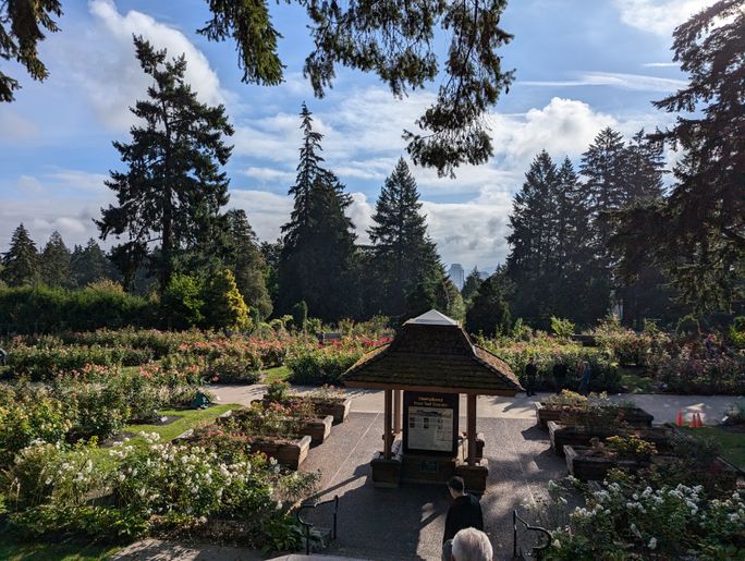 International Rose Test Garden, Portland, Oregon