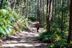 Kumano Kodo, sustainability, pilgrimage route, Japan, Japan National tourism Organization, JNTO