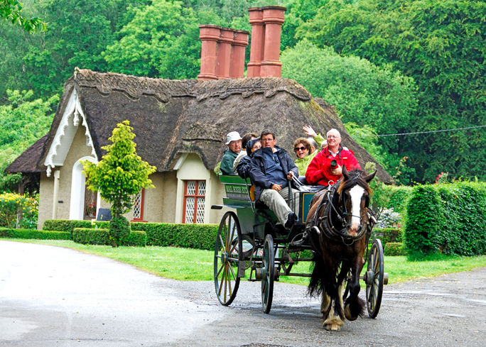 Jaunting Car Ride in Killarney, Ireland