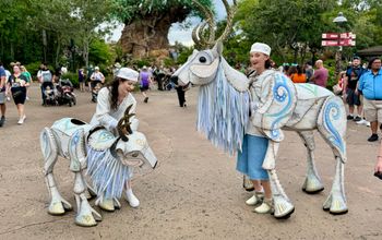 Merry Menagerie at Animal Kingdom.