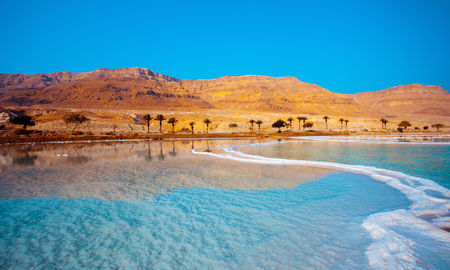 Dead Sea seashore with palm trees and mountains on background