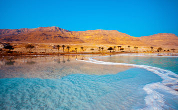 Dead Sea seashore with palm trees and mountains on background