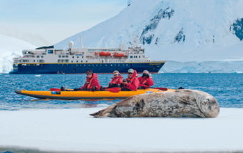 Lindblad Expeditions-National Geographic, seals, animals, expedition cruise, Antarctica, antarctica cruise