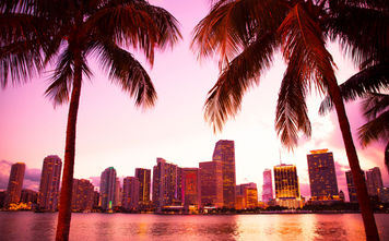 Miami Florida skyline and bay at sunset seen through palm trees (photo via littleny / iStock / Getty Images Plus)