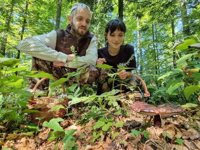 Mushroom foraging is a popular activity for local Slovenians.