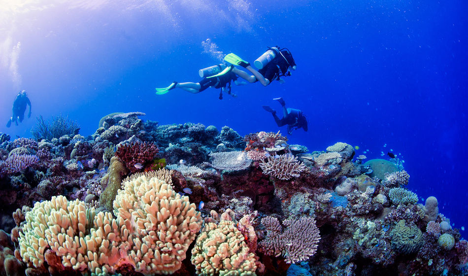 Scuba diving in Fiji.