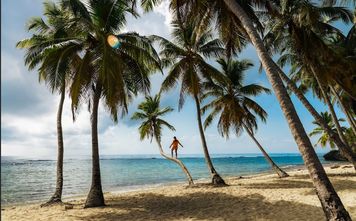 Taste the Paradise of the Dominican Republic