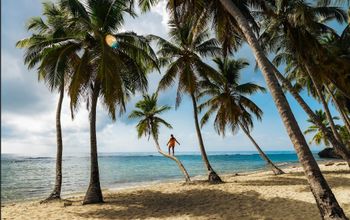 Taste the Paradise of the Dominican Republic