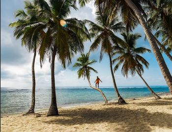 Taste the Paradise of the Dominican Republic