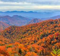 Autumn colors in Great Smoky Mountains National Park.