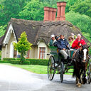 Jaunting Car Ride in Killarney, Ireland