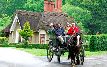 Jaunting Car Ride in Killarney, Ireland