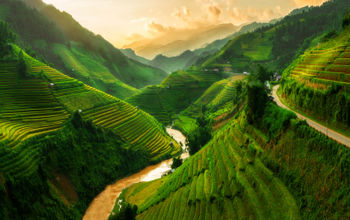 Terraced rice field landscape near Sapa in Vietnam. Mu Cang Chai Rice Terrace Fields stretching across the mountainside, layer by layer reaching up as endless, with about 2,200 hectares of rice terraces, of which 500 hectares of terraces of 3 communes suc