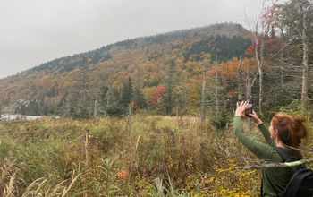 White Mountain National Forest, New Hampshire